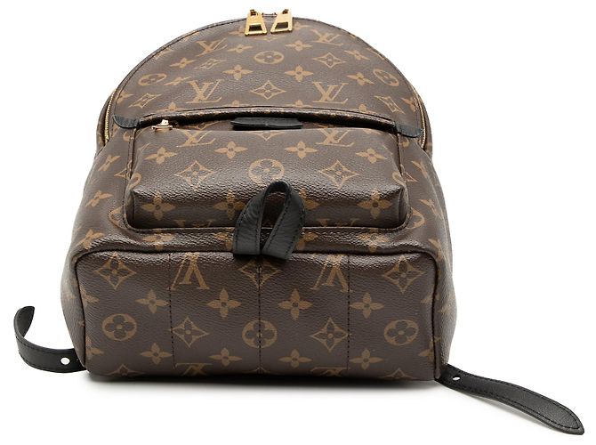 Louis Vuitton Marrone Monogramma Palm Springs PM - vista 3