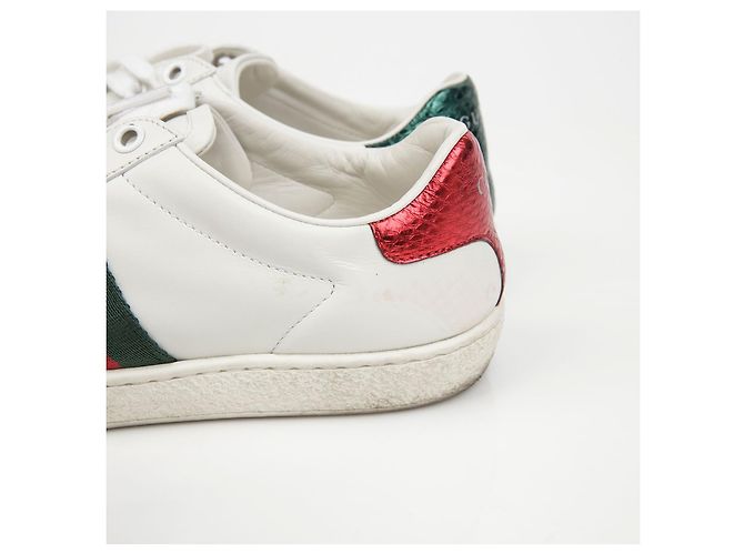 Gucci Ace Sneakers Taglia Bianco - vista 7