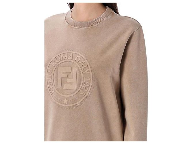 Fendi Sudadera ASNH Castaño - vista 6