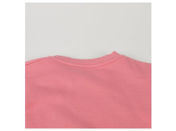 Dior Size CD Logo Sweatshirt Pink - view 10