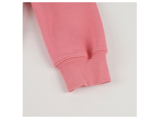 Dior Size CD Logo Sweatshirt Pink - view 13