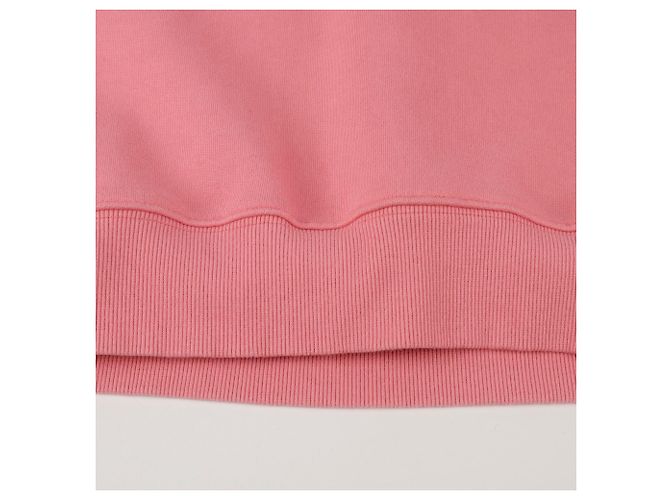 Dior Size CD Logo Sweatshirt Pink - view 6