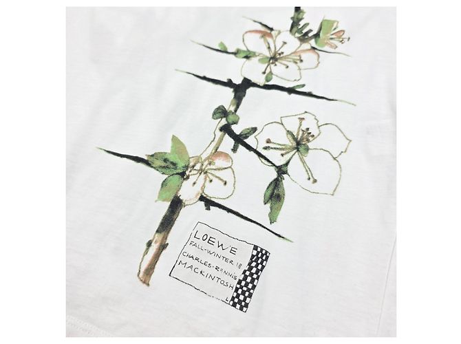 Loewe T-shirt a maniche corte con logo botanico Bianco - vista 3