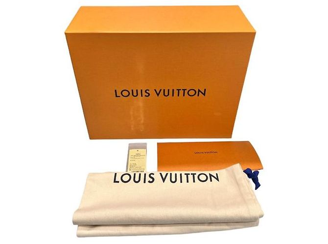 Louis Vuitton Botines Monogram Star Trail Castaño - vista 9