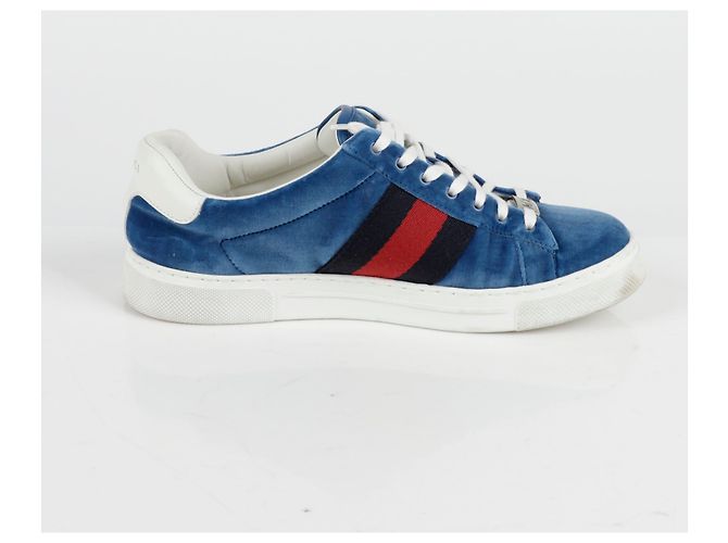 Gucci Sneakers Ace Web Blu - vista 5