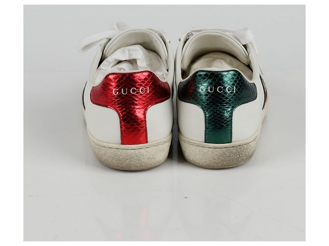 Gucci Ace Sneakers Taglia Bianco - vista 7