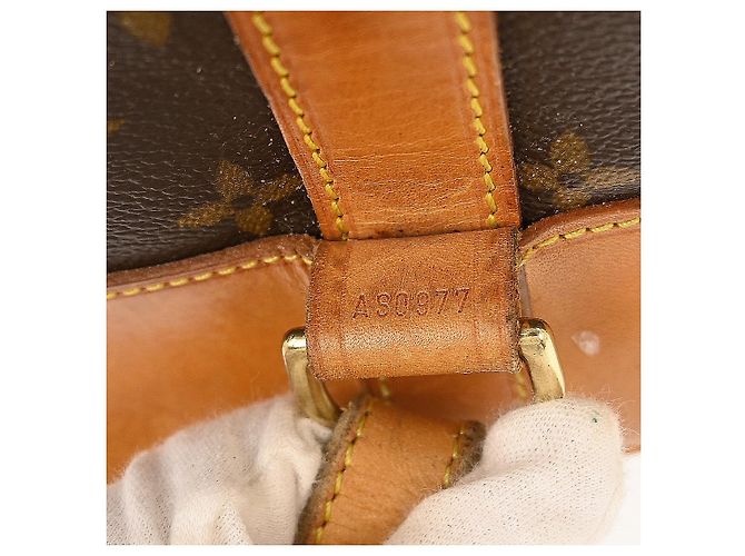 Zaino Randonnee Monogram in Canvas PM Louis Vuitton Marrone - vista 4