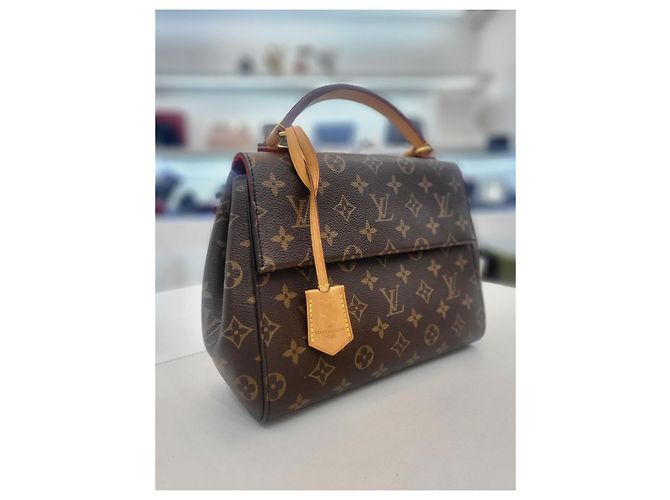 Louis Vuitton Borsa a Spalla Cluny BB Multicolore - vista 13