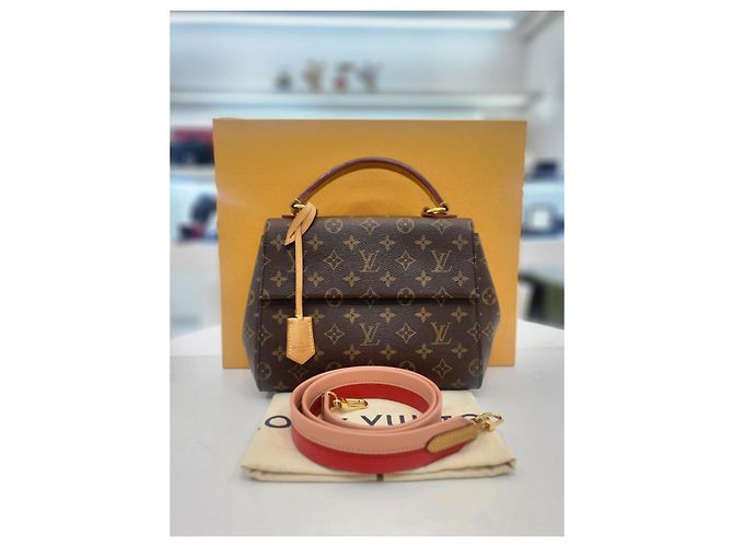 Louis Vuitton Borsa a Spalla Cluny BB Multicolore - vista 2