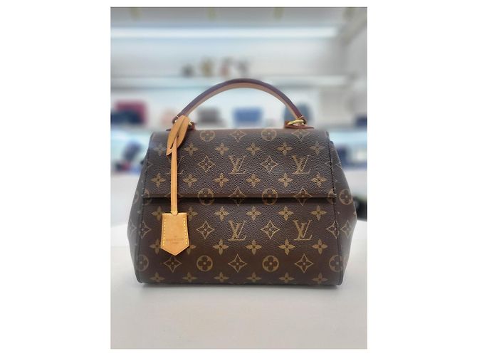 Louis Vuitton Borsa a Spalla Cluny BB Multicolore - vista 9
