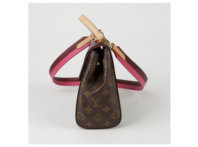 Louis Vuitton Borsa a spalla Cluny BB Marrone - vista 2
