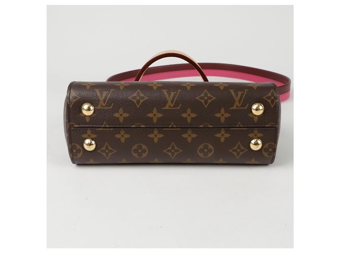 Louis Vuitton Borsa a spalla Cluny BB Marrone - vista 5