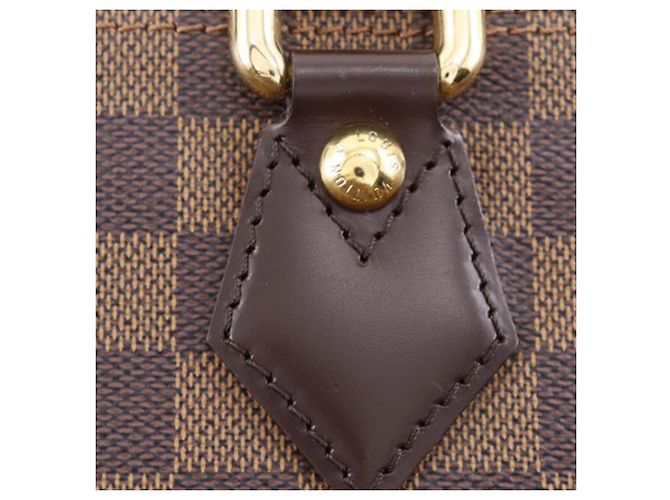 Louis Vuitton Borsa Saleya PM Damier Ebene Marrone - vista 10