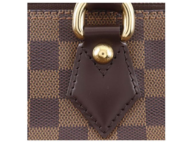 Louis Vuitton Borsa Saleya PM Damier Ebene Marrone - vista 7