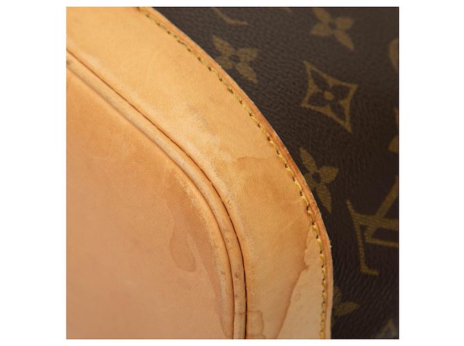 Louis Vuitton Brown Monogram Alma PM - view 8