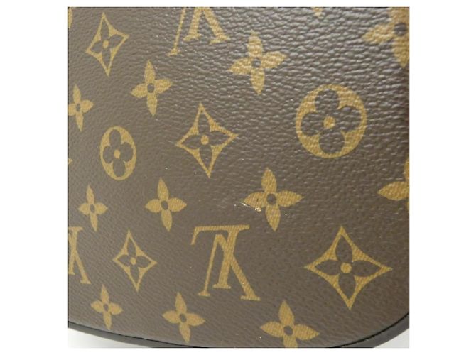 Zaino Dauphine Monogram Louis Vuitton Marrone - vista 4