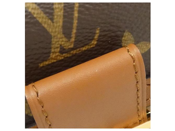 Bumbag Bauletto Dauphine BB Monogram Louis Vuitton Marrone - vista 4
