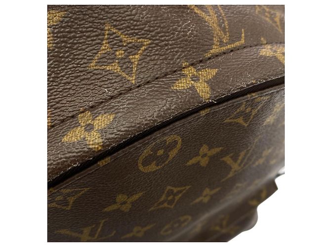 Louis Vuitton Monogram Palm Springs Rucksack MM Braun - Ansicht 5