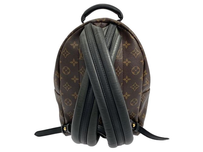 Zaino Palm Springs PM Monogram Louis Vuitton M44871 Marrone - vista 2