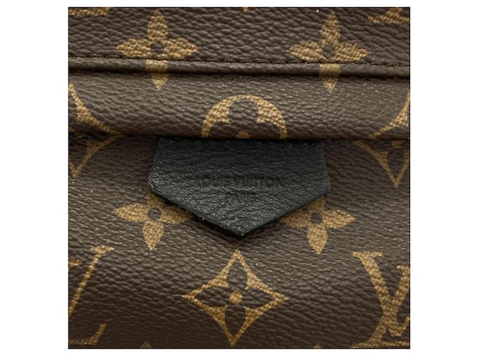 Zaino Palm Springs PM Monogram Louis Vuitton M44871 Marrone - vista 4