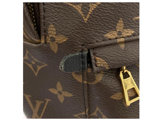 Zaino Palm Springs PM Monogram Louis Vuitton M44871 Marrone - vista 5