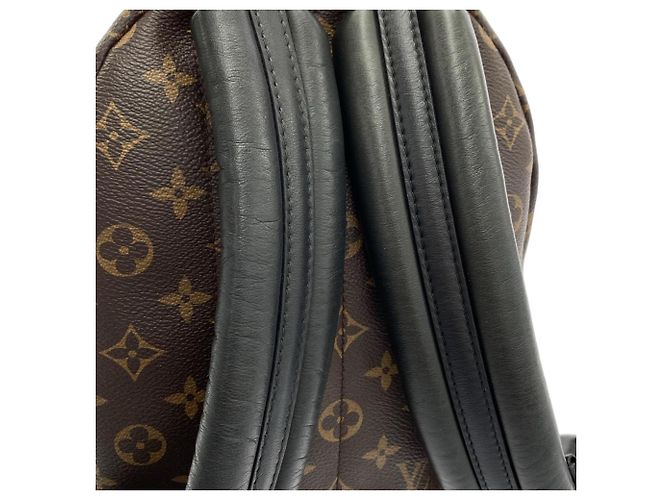 Zaino Palm Springs PM Monogram Louis Vuitton M44871 Marrone - vista 7