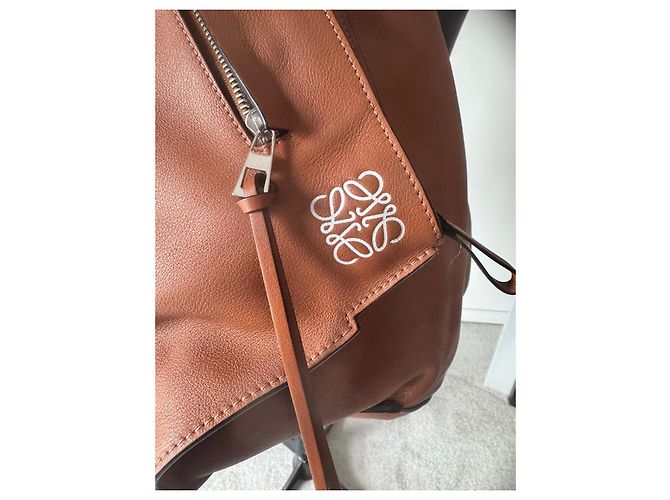 Borsa a tracolla Anton di LOEWE Marrone - vista 5