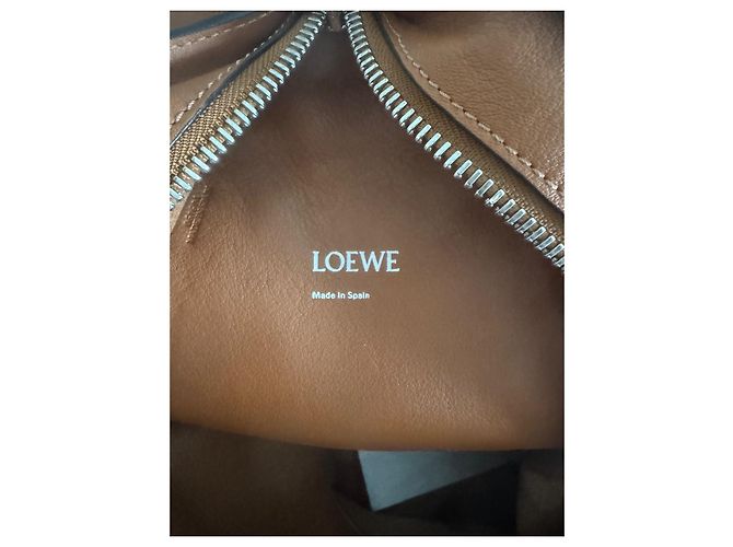 Borsa a tracolla Anton di LOEWE Marrone - vista 6
