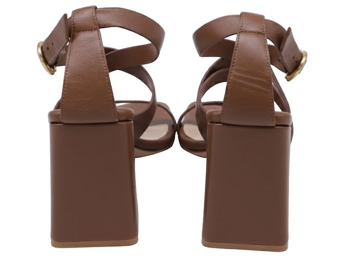Sandali con tacco a blocco con cinturini Gianvito Rossi in pelle marrone - vista 5