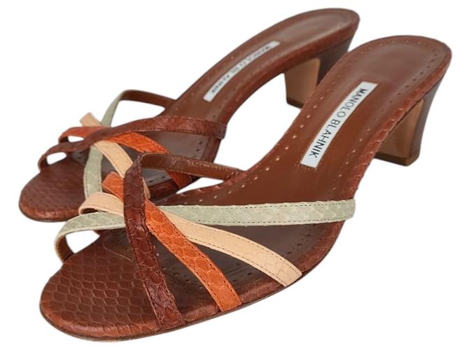 Mule in pelle di serpente con punta aperta Manolo Blahnik Marrone - vista 2