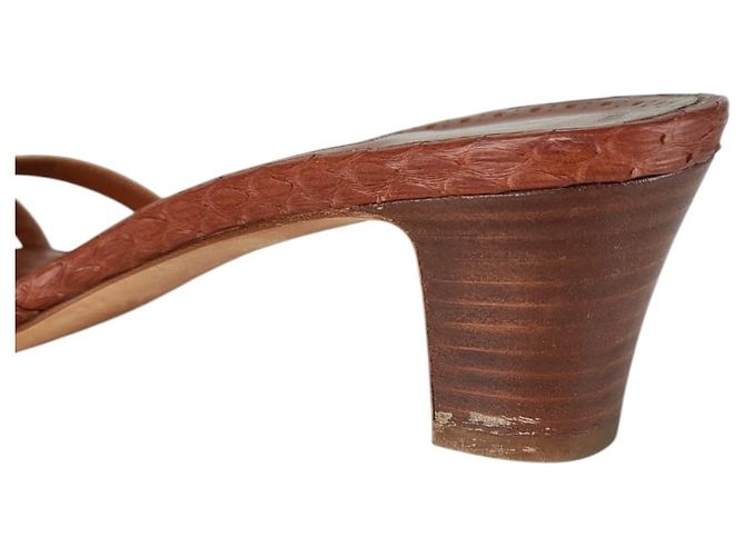 Mule in pelle di serpente con punta aperta Manolo Blahnik Marrone - vista 5