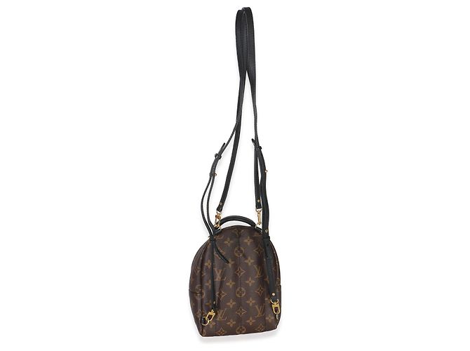 Mini Palm Springs in tela Monogram Louis Vuitton Marrone Nero - vista 2