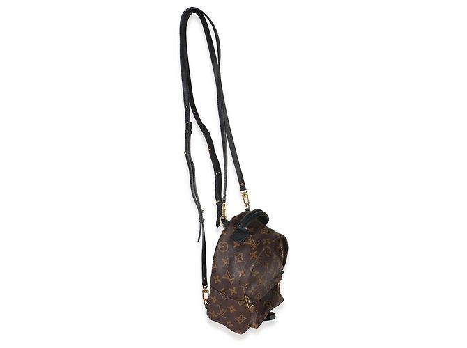 Mini Palm Springs in tela Monogram Louis Vuitton Marrone Nero - vista 3