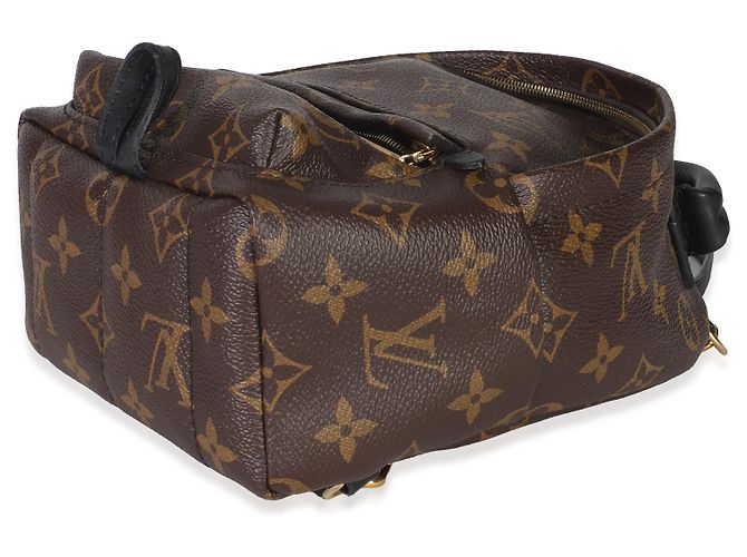 Mini Palm Springs in tela Monogram Louis Vuitton Marrone Nero - vista 4