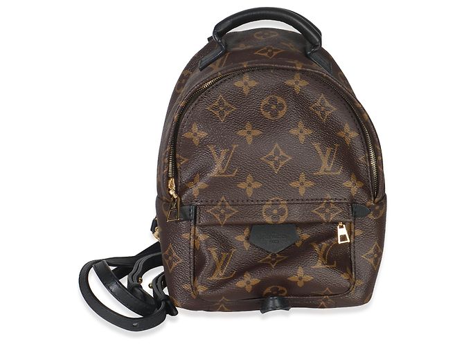Mini Palm Springs in tela Monogram Louis Vuitton Marrone Nero - vista 5