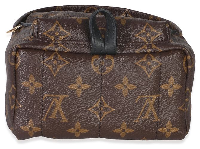 Mini Palm Springs in tela Monogram Louis Vuitton Marrone Nero - vista 6