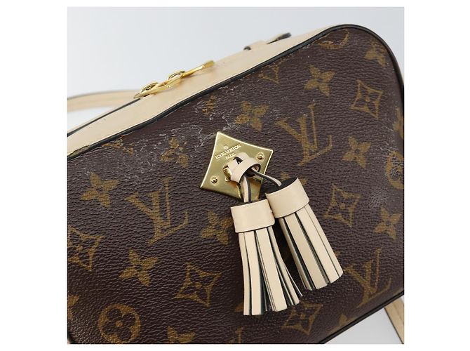 LOUIS VUITTON Borsa a Spalla Monogram Saintonge Bianca M43559 LV Auth 143616 Bianco - vista 8