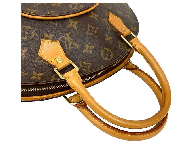 Borsa a mano/tote bag Ellipse Monogram di Louis Vuitton Marrone - vista 4