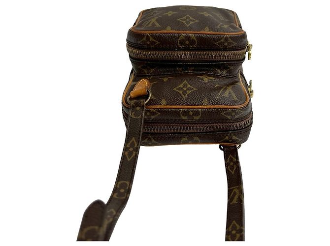 Sac à main en cuir Monogram Amazon de Louis Vuitton Marron - vue 4