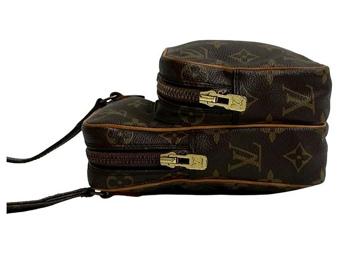 Sac à main en cuir Monogram Amazon de Louis Vuitton Marron - vue 5