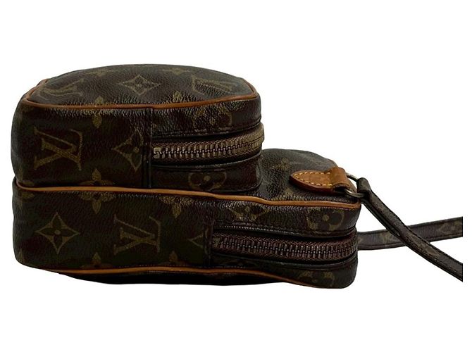 Sac à main en cuir Monogram Amazon de Louis Vuitton Marron - vue 6
