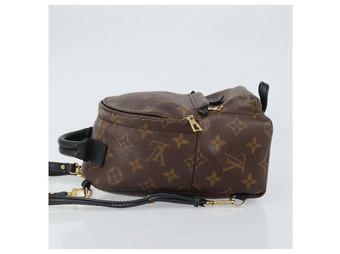 Louis Vuitton Palm Springs Backpack Monogram Canvas Mini Brown - view 4