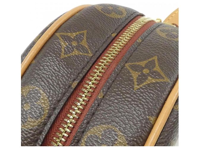 Borsa a Spalla Boite Chapeau Souple Monogram Louis Vuitton Marrone - vista 4