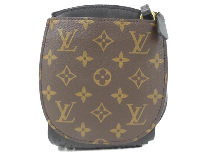 Noe Borsa a Spalla Noé MINI in Monogram con Frange di Louis Vuitton Marrone - vista 2