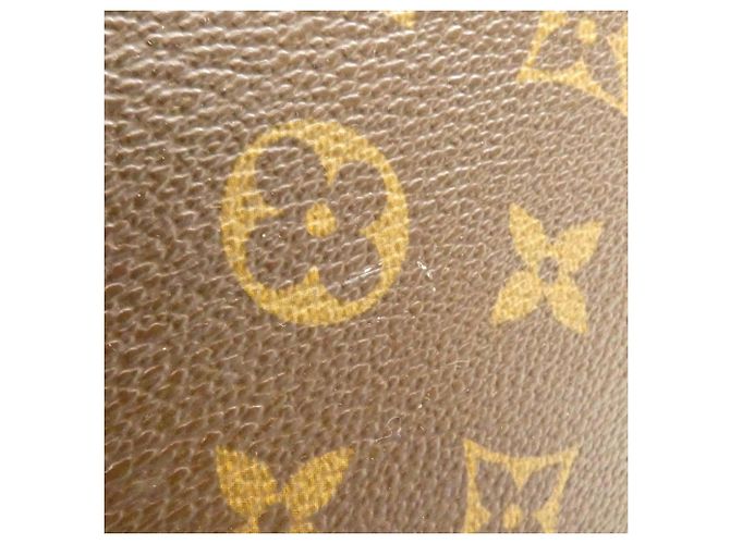 Borsa a Mano Cabas Piano Monogram Louis Vuitton Marrone - vista 3