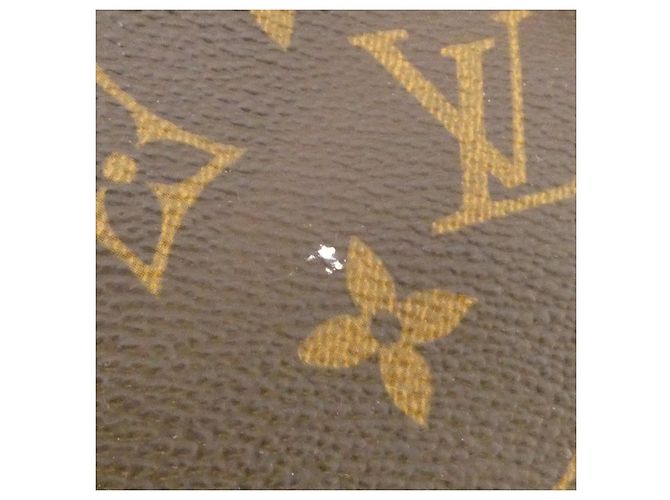 Borsa a mano Cabas Maison Monogram Louis Vuitton Marrone Monogramma - vista 4