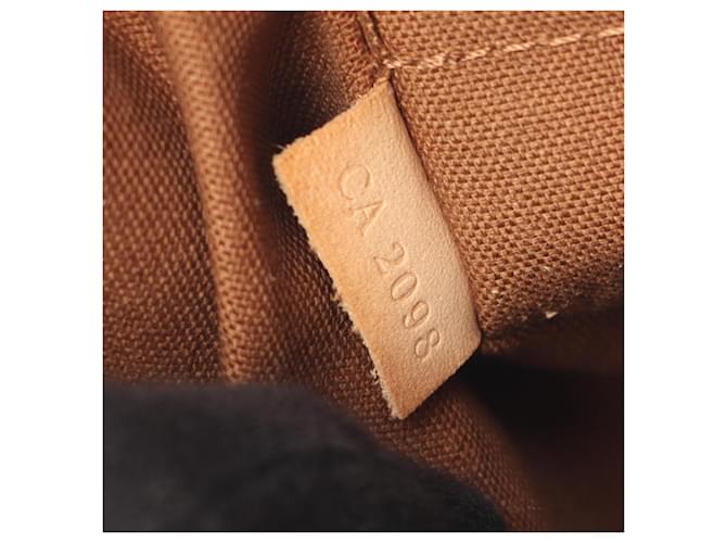 Borsa a Spalla Odeon PM Louis Vuitton Marrone Monogramma - vista 5