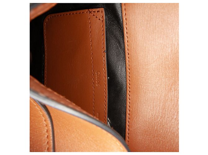 Mini borsa Marcie in shearling e pelle di vitello Chloé Brown - vista 5