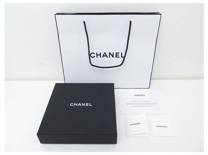 NEUE CHANEL ROSE DES VENTS CAMELIA LEDER BROSCHE Silber - Ansicht 11
