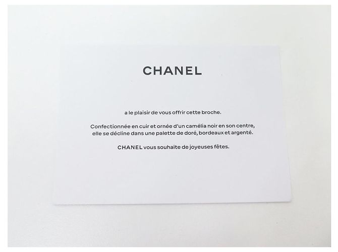 NEUE CHANEL ROSE DES VENTS CAMELIA LEDER BROSCHE Silber - Ansicht 12